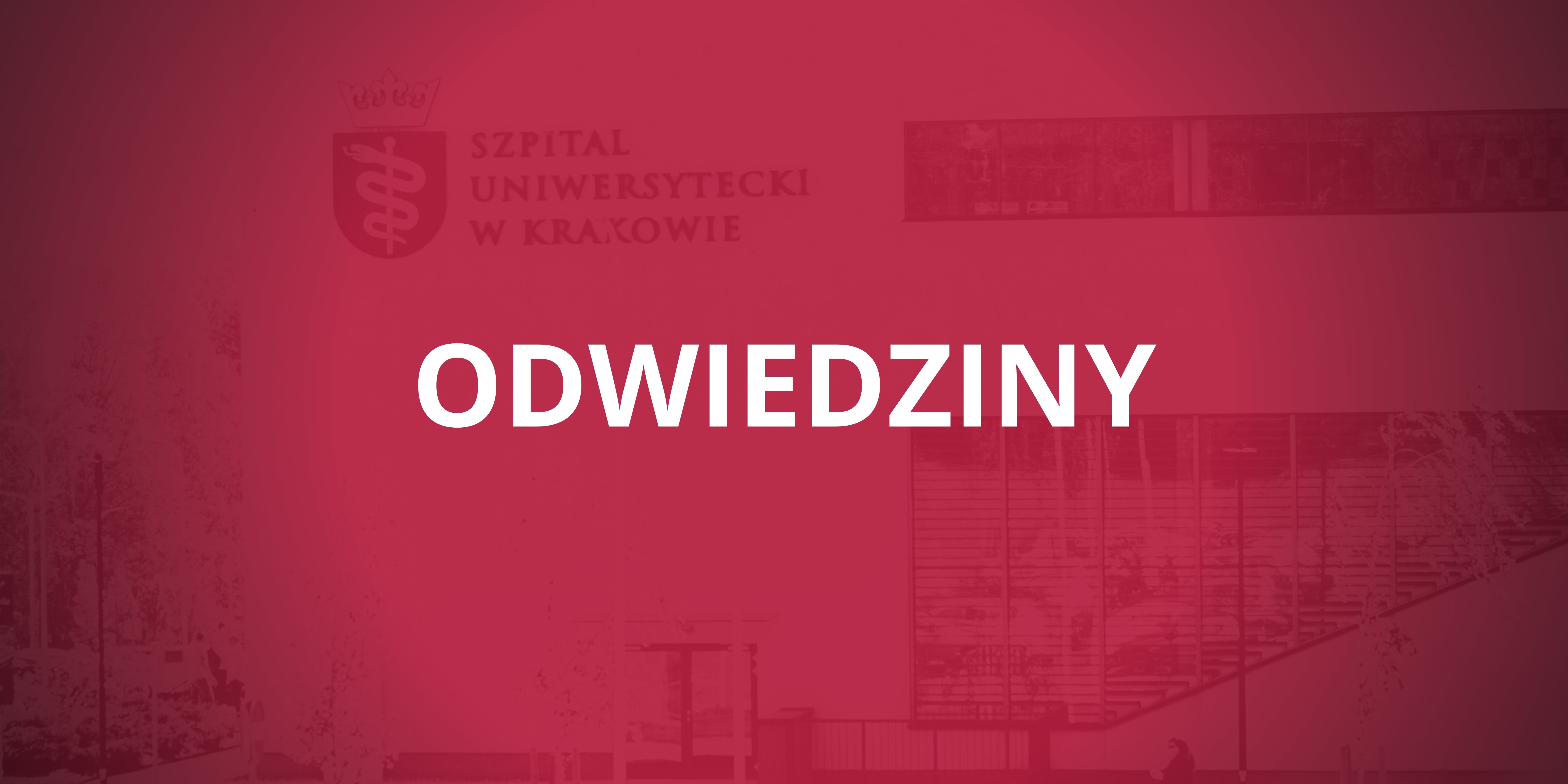 odwiedziny