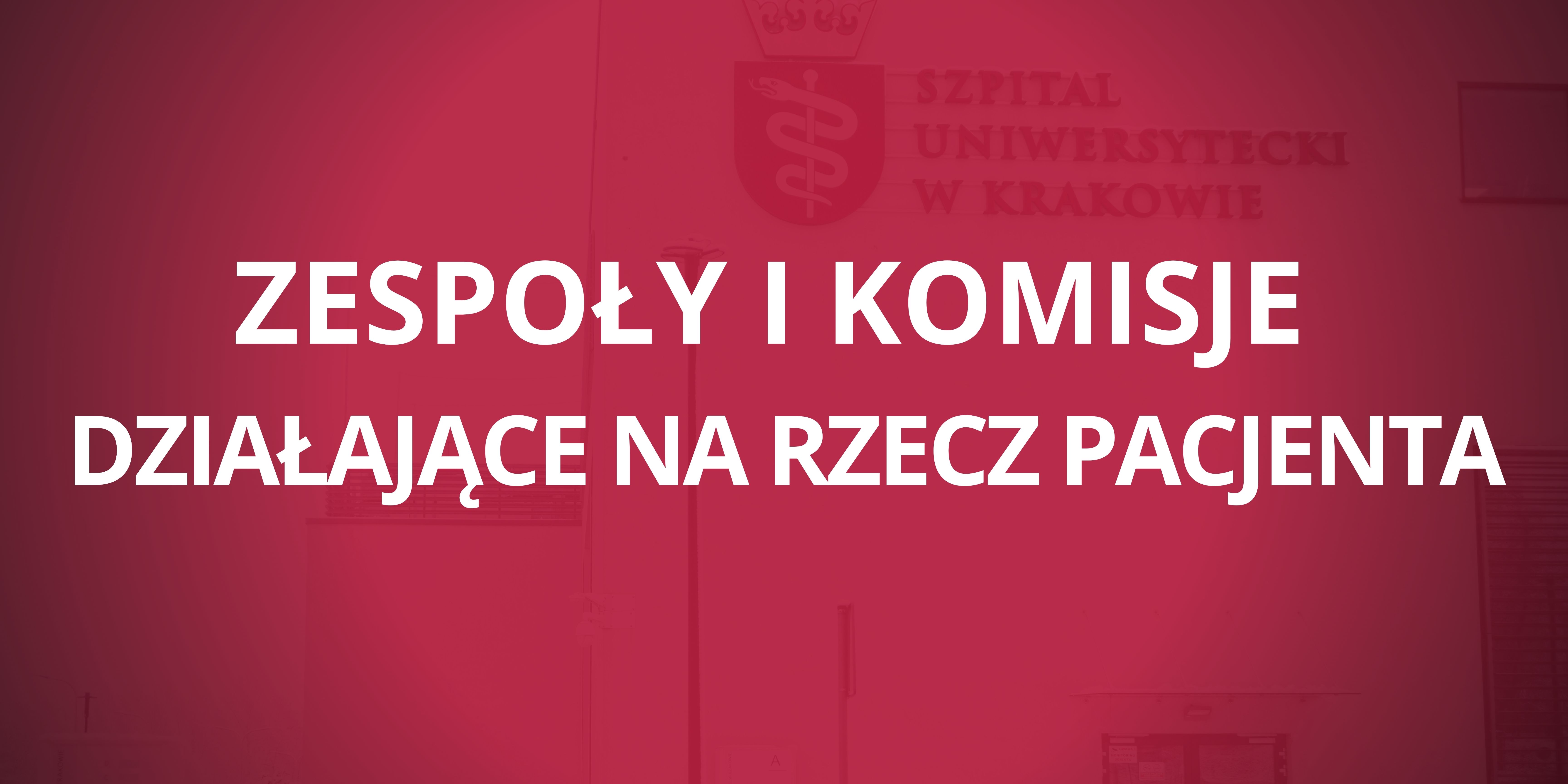 zespoły i komisje