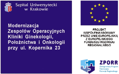 logotypy projektów europejskich