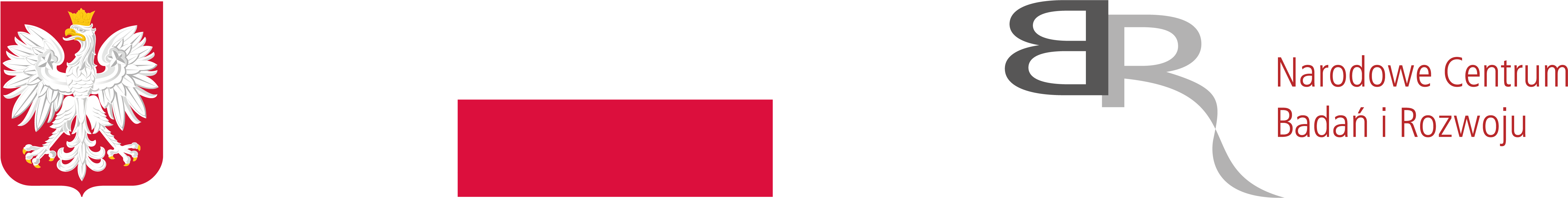 Flaga RP, godło RP, logo NCBiR