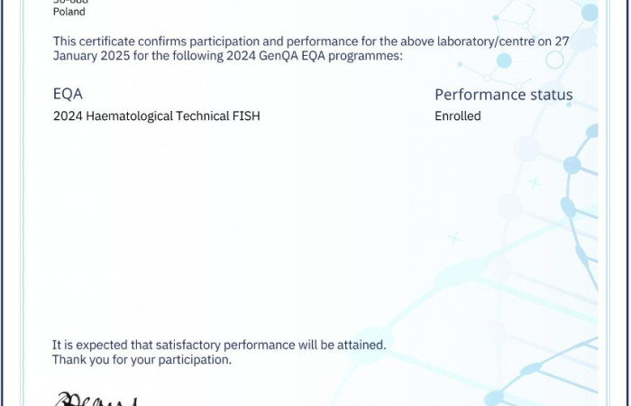 Performance Certificate 2024.pdf