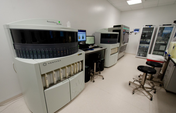 Wyposażenie zakładu 