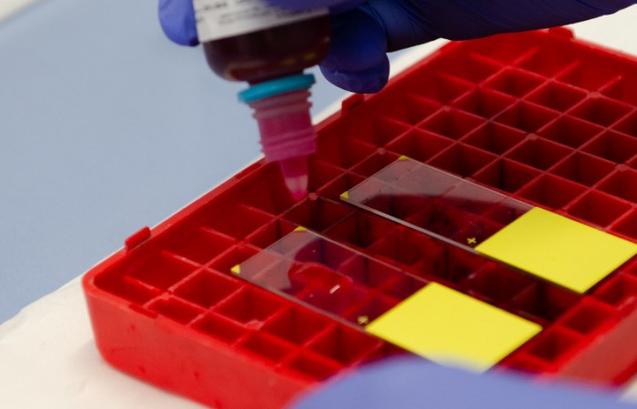 Wyposażenie zakładu 