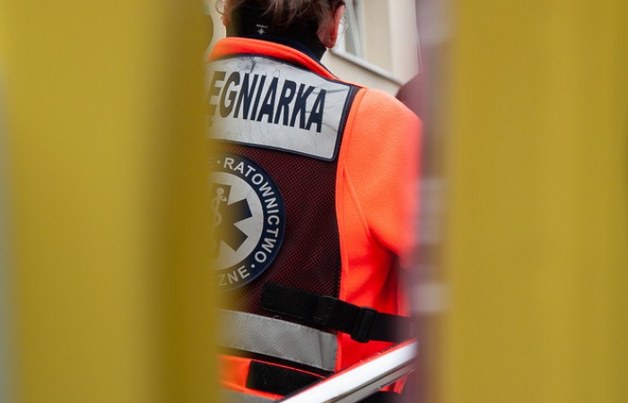 Karetka