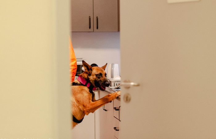 fot. Karolina Fok I Archiwum SU