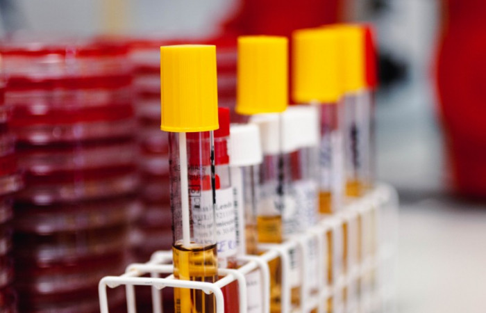 fot. Karolina Fok / Archiwum SU