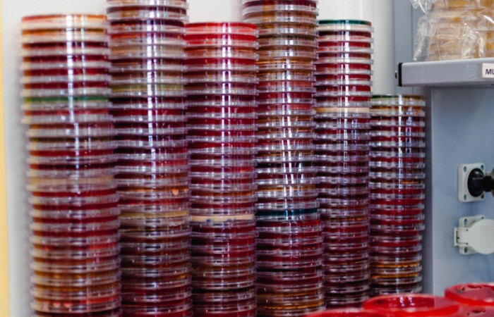 fot. Karolina Fok / Archiwum SU