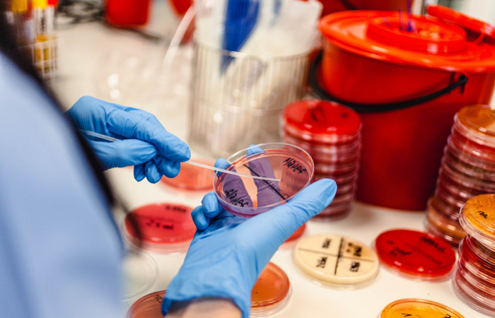 fot. Karolina Fok / Archiwum SU