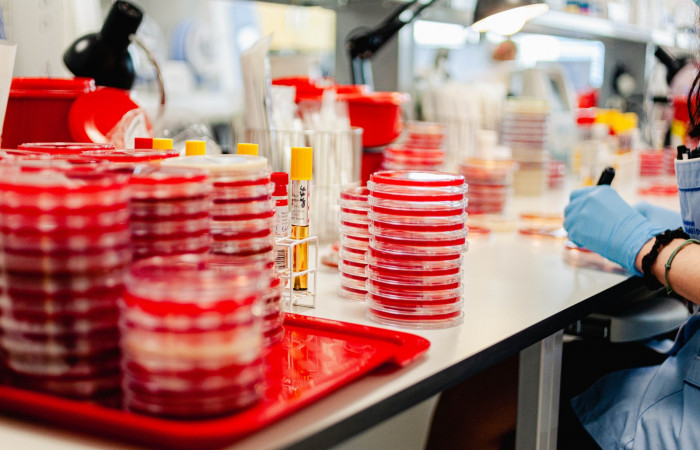 fot. Karolina Fok / Archiwum SU