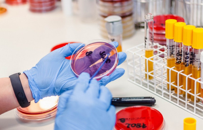 fot. Karolina Fok / Archiwum SU