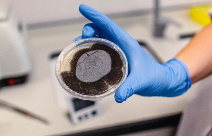 fot. Karolina Fok / Archiwum SU