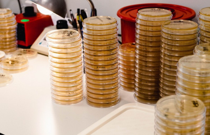 fot. Karolina Fok / Archiwum SU