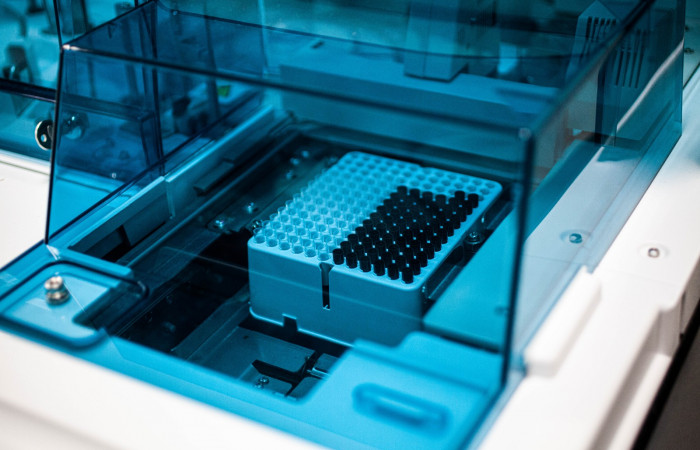 fot. Karolina Fok / Archiwum SU