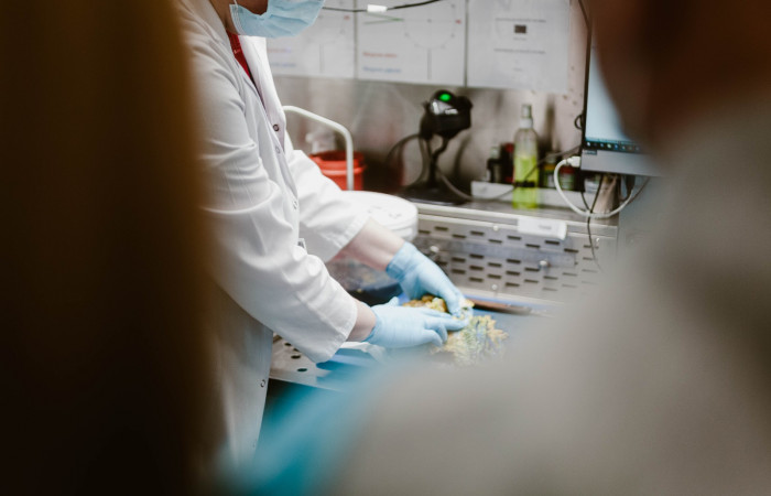 fot. Karolina Fok / Archiwum SU