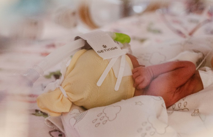 fot. Karolina Fok / Archiwum SU