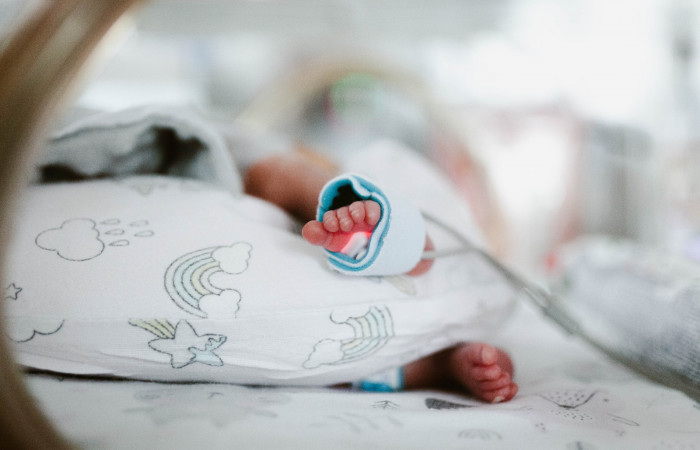 fot. Karolina Fok / Archiwum SU