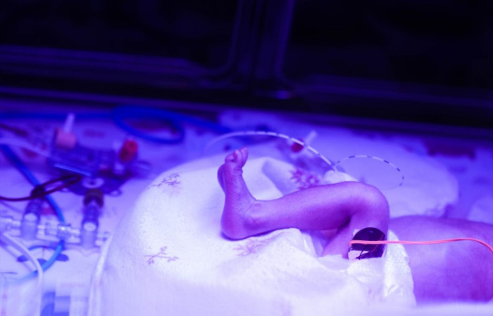 fot. Karolina Fok / Archiwum SU