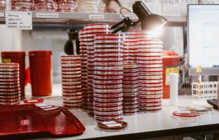 fot. Karolina Fok Archiwum SU