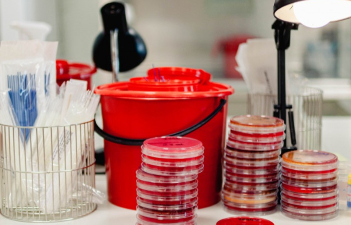 fot. Karolina Fok Archiwum SU