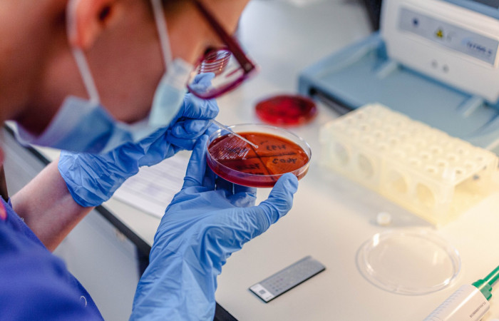 fot. Karolina Fok Archiwum SU