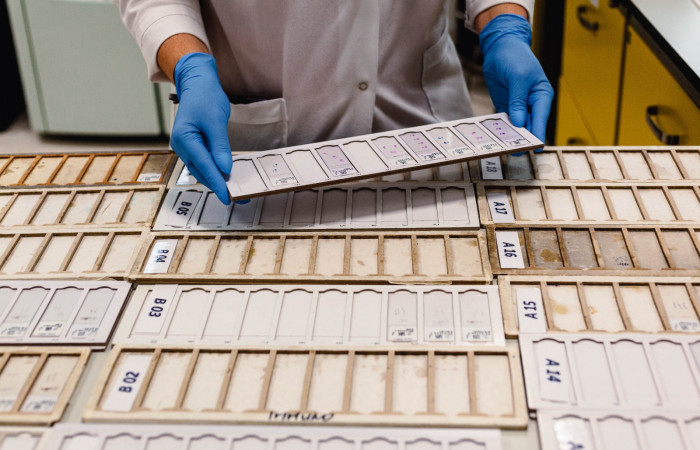 fot. Karolina Fok Archiwum SU