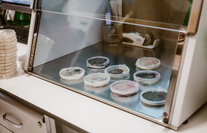 fot. Karolina Fok Archiwum SU