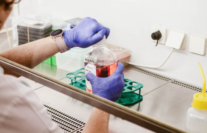 Wnętrze pracowni laboratoryjnej