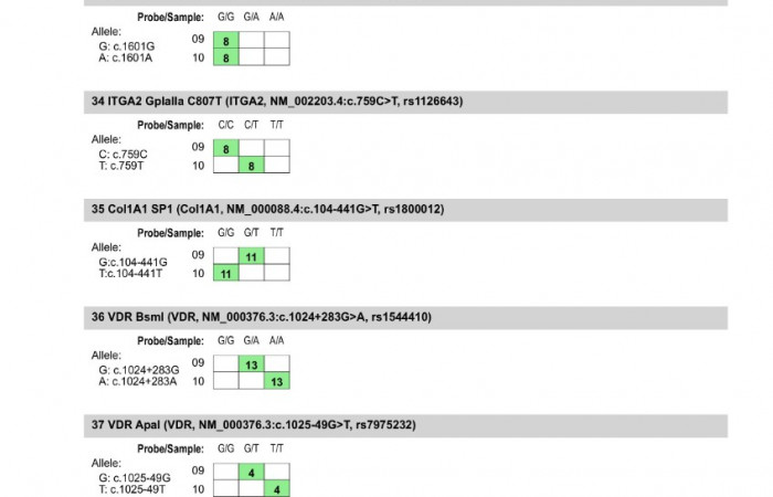 MG1_242_8888476-obrazy-1