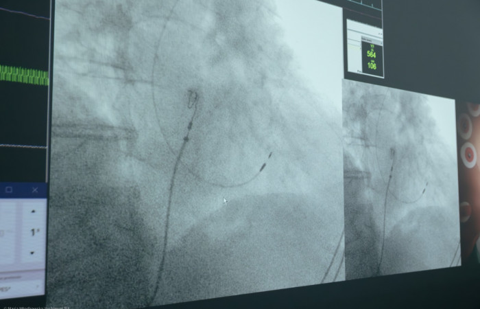 6I2A2310-Enhanced-NR